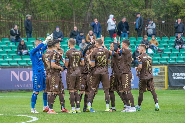 为了进一步 为了进一步