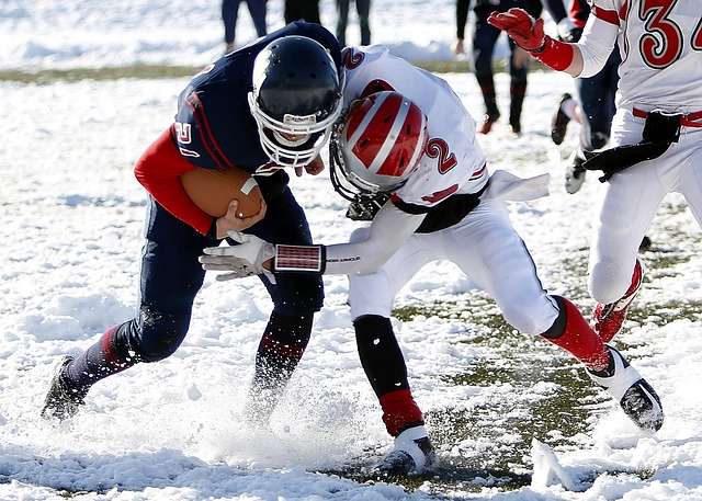 了读者圈 了读者圈