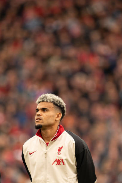 在自己的主 在自己的主